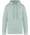 NS416 Native Spirit Unisex Terry 280 Hoodie washed jade green colour image